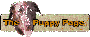 The Puppy Page