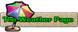 Today's Weather